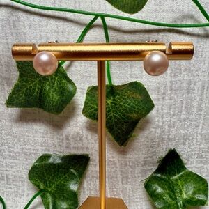 NWT Sterling Silver & Freshwater Pearl Stud Earrings